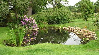 After - enlarged butyl lined pond with rockery and bog garden